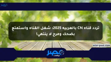 تردد قناة CN بالعربية 2025: شغل القناة واستمتع بضحك ومرح لا ينتهي!